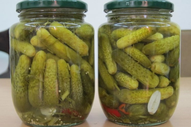 Острые и хрустящие корнишоны на зиму