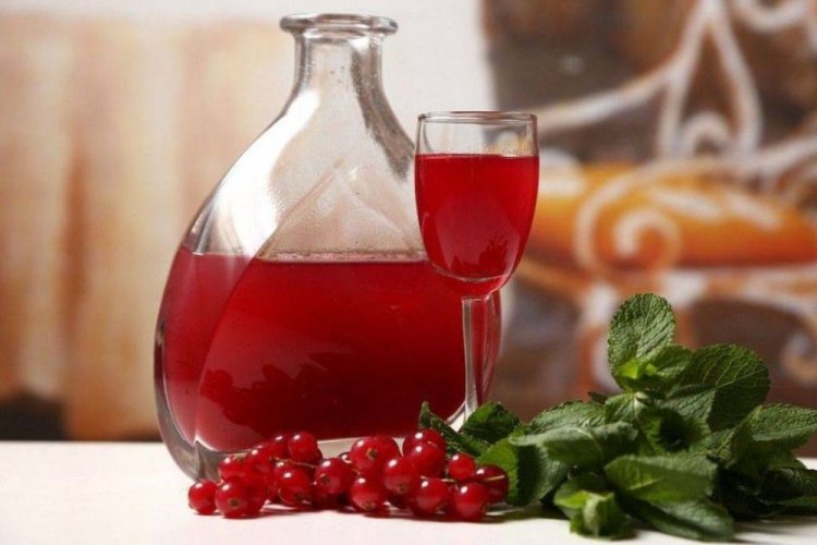 Вино из красной смородины с мятой
