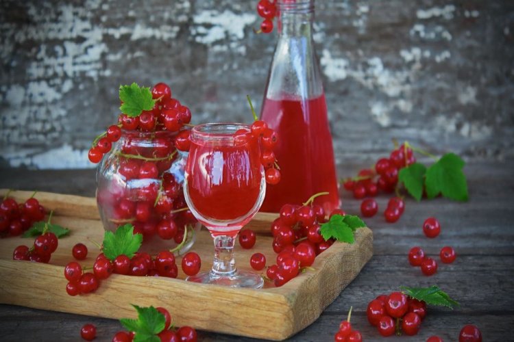 Вино из листьев и ягод красной смородины