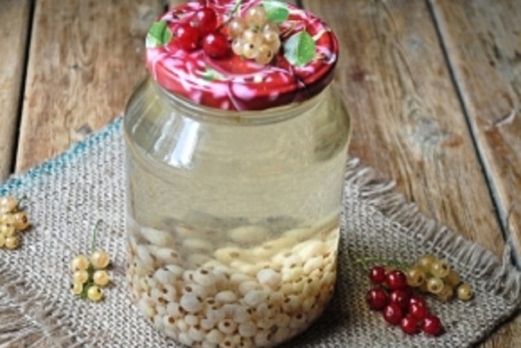 Компот из белой смородины в банках