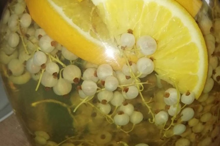 Компот из белой смородины с мятой на зиму