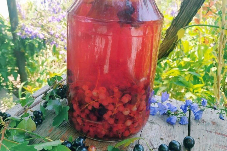 Компот из белой и черной смородины на зиму