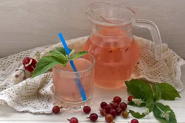 Компот «Мохито» из красного крыжовника с мятой