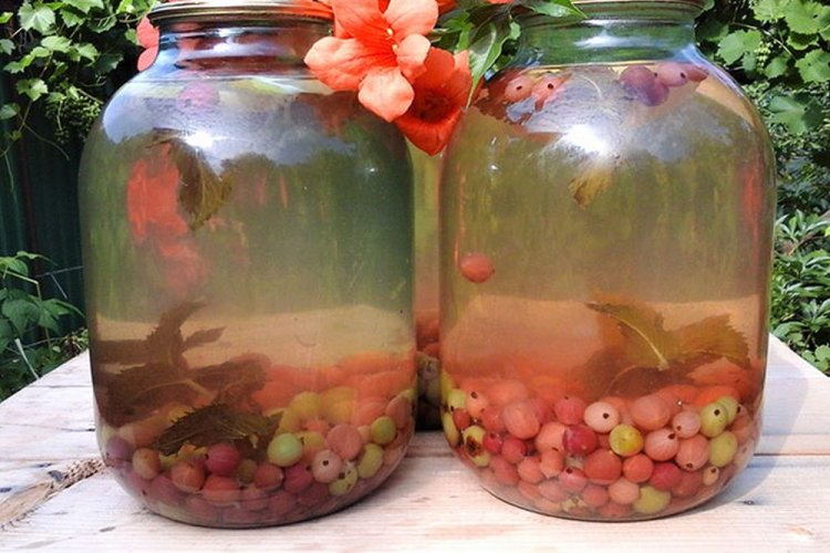 Компот «Мохито» с крыжовником и лимонной кислотой на зиму