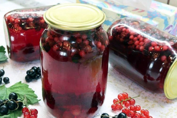 Компот из черной и красной смородины на зиму