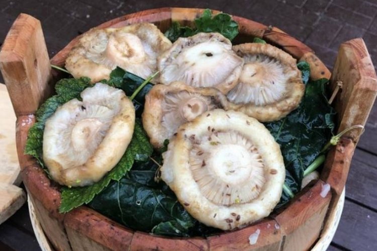 Маринованные грузди в бочке