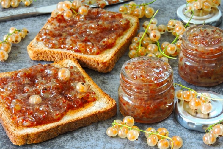 Что приготовить из белой смородины: 20 самых вкусных рецептов