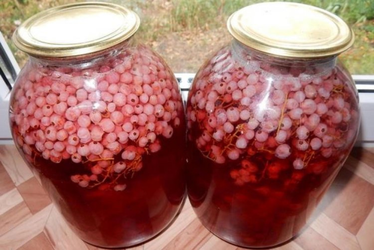 Компот из красной и белой смородины без стерилизации