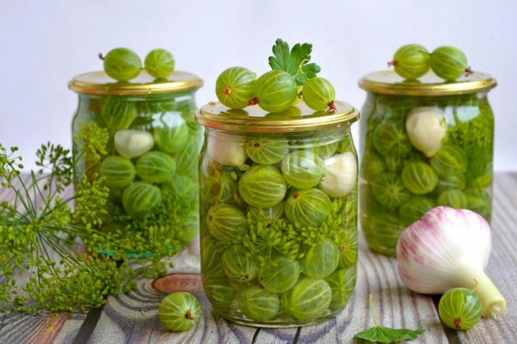 Маринованный крыжовник на зиму