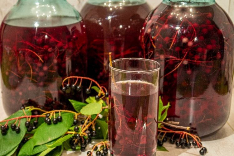 Компот из черемухи без стерилизации