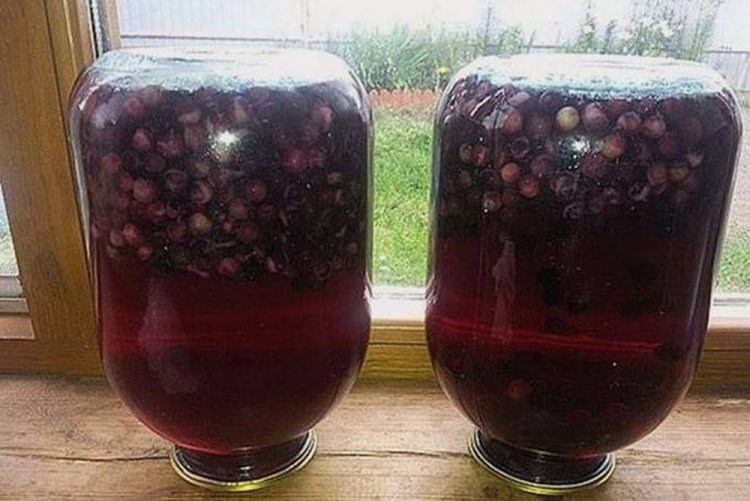 Компот из черемухи в 3-литровую банку