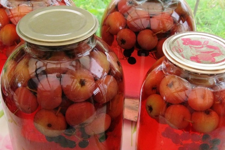 Компот из ранеток и черемухи на зиму