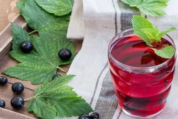 Настойка из черной смородины с водкой и белым ромом