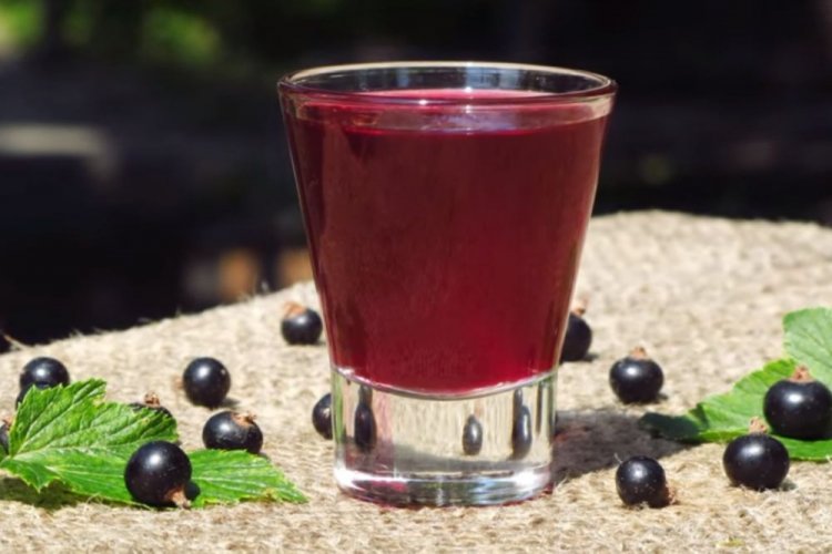 Настойка из черной смородины «По-домашнему»