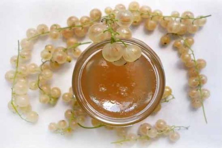 Желе из белой смородины без сахара