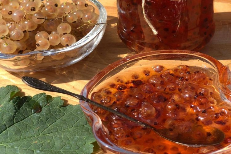 Желе из белой смородины с ванилью