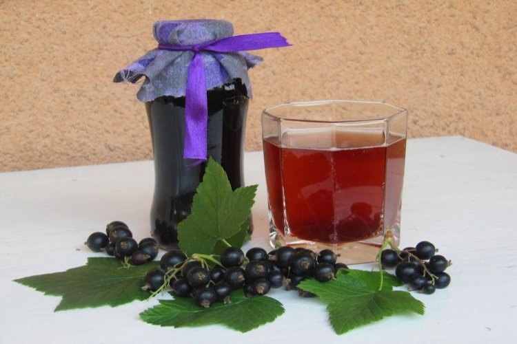 Вино из черной смородины без сахара