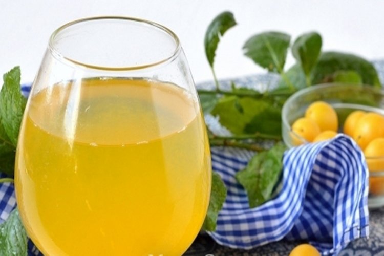 Вино из алычи с винными дрожжами