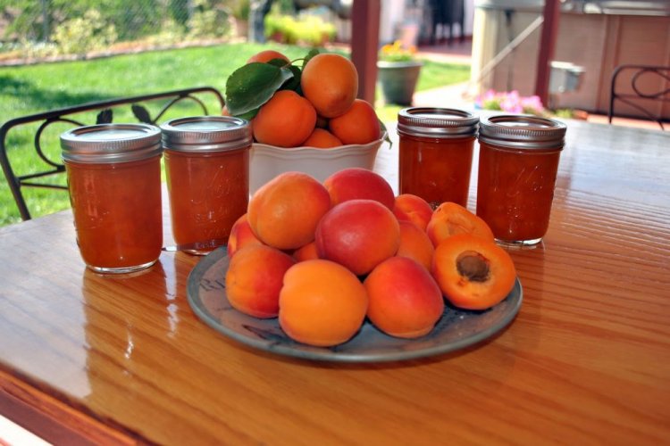 Абрикосовое варенье-пятиминутка