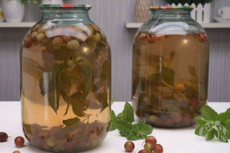 Компот из крыжовника с мятой без сахара