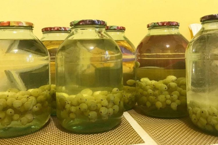 Компот из крыжовника с мятой без стерилизации