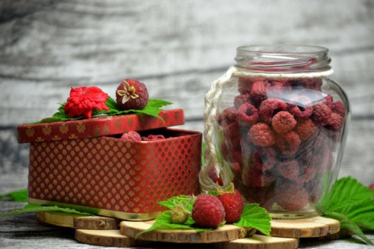 Сушеная малина на зиму