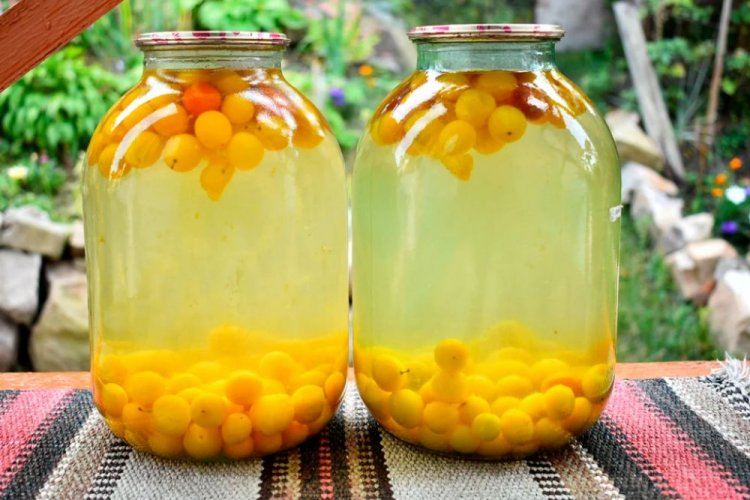 Компот из желтой алычи на зиму