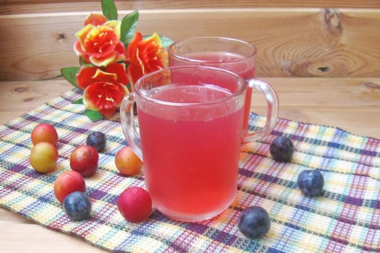 Летний компот из алычи с медом