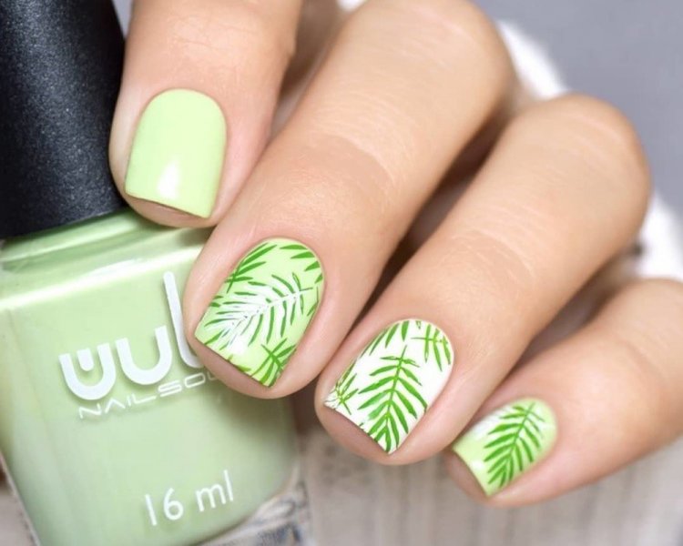 Растительные орнаменты