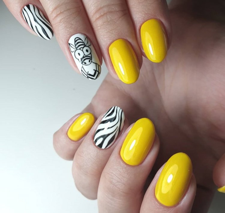 Зебра с цветными акцентами