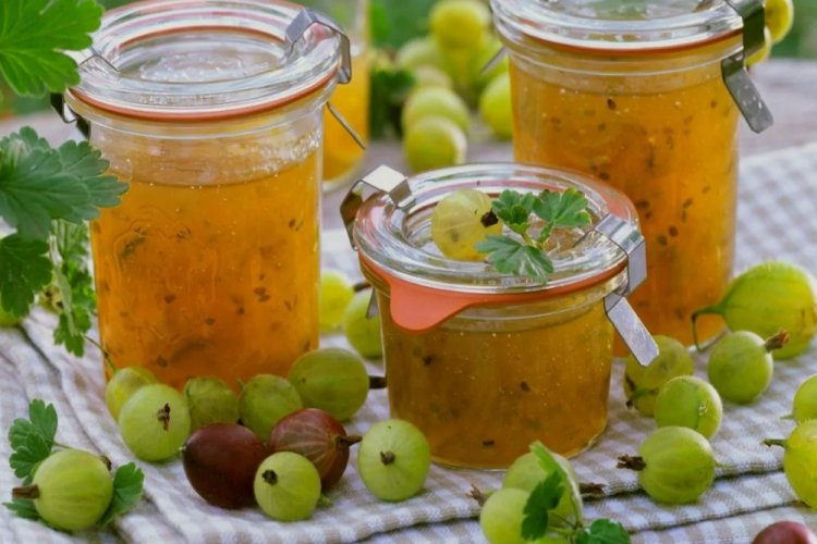 Желе из крыжовника с медом