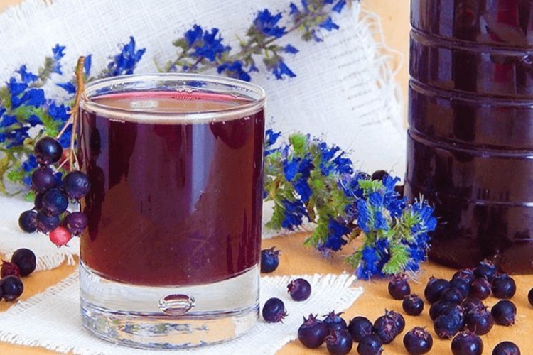 Вино из ирги – классический рецепт