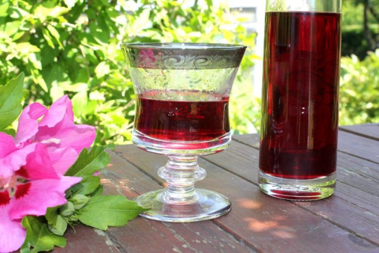 Вино из ирги с винными дрожжами