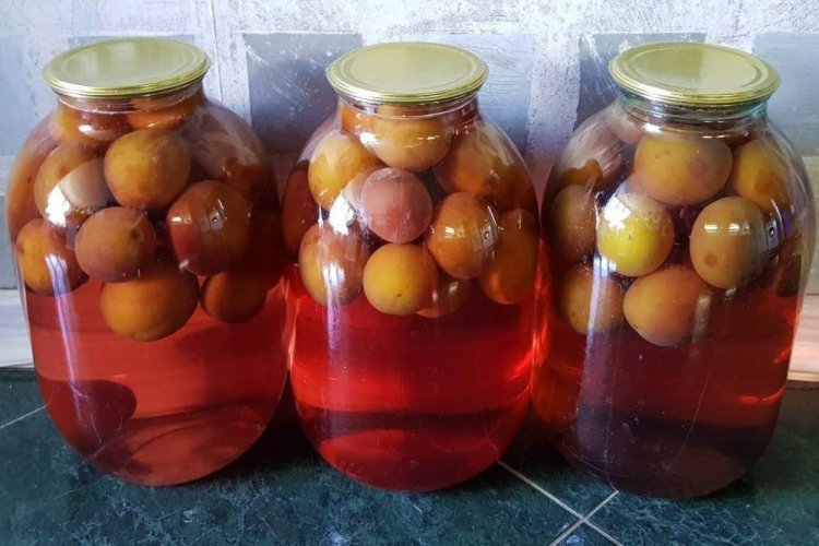 Компот из целых нектаринов на зиму