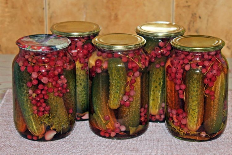 Огурцы с красной смородиной и чесноком на зиму