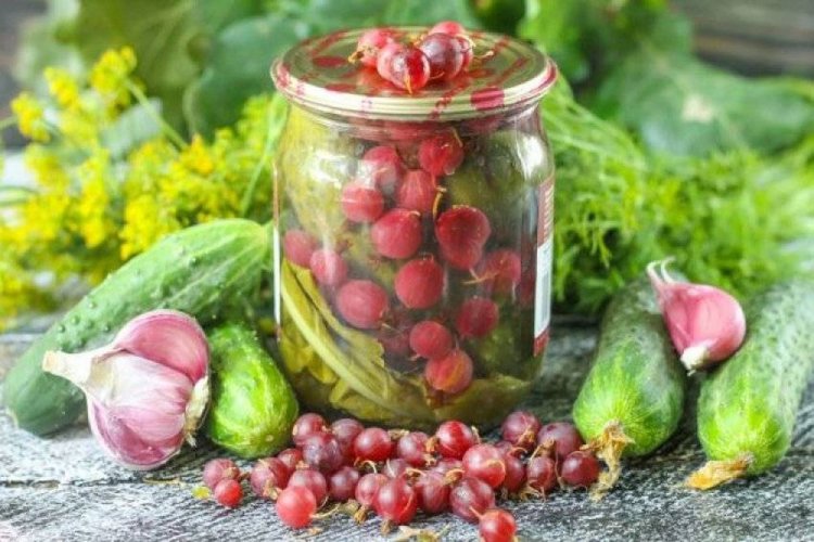 Огурцы с крыжовником без уксуса