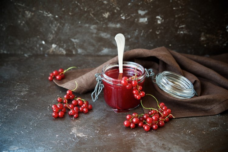 10 простых рецептов желе из красной смородины с агар-агаром