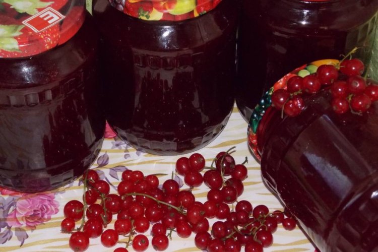 Желе-пятиминутка из красной смородины с агар-агаром