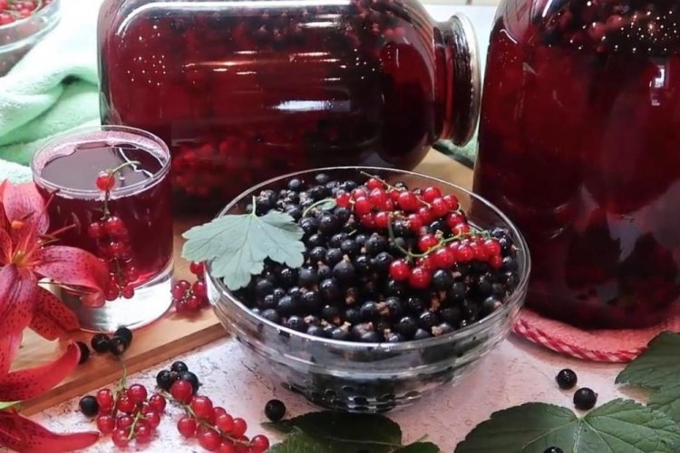 Компот из красной и черной смородины с лимонной кислотой