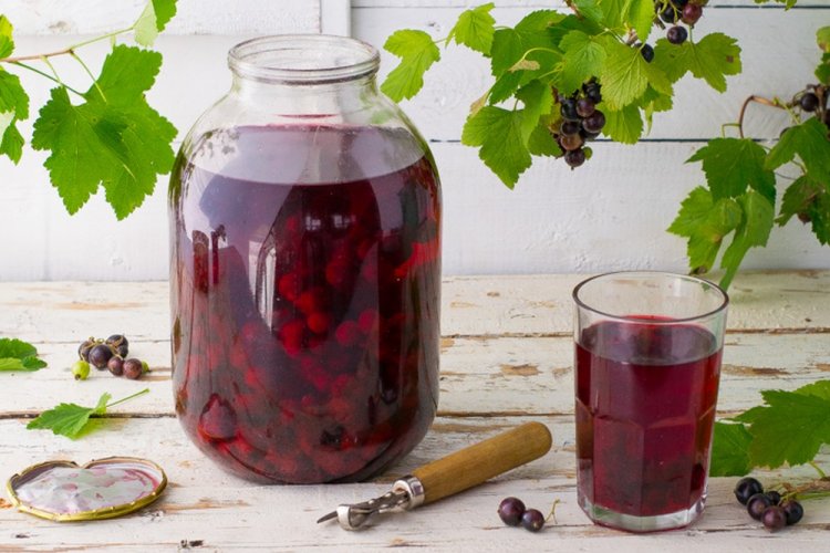 Компот из красной и черной смородины со сливой