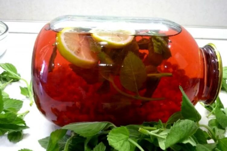 Компот из красной и черной смородины с лимоном и мятой