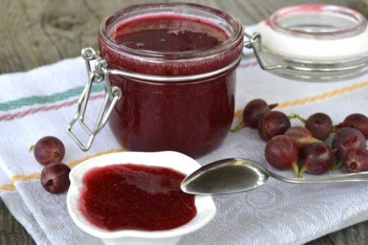 Протертый крыжовник с сахаром без варки