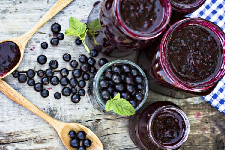 Варенье из черной смородины с медом без варки