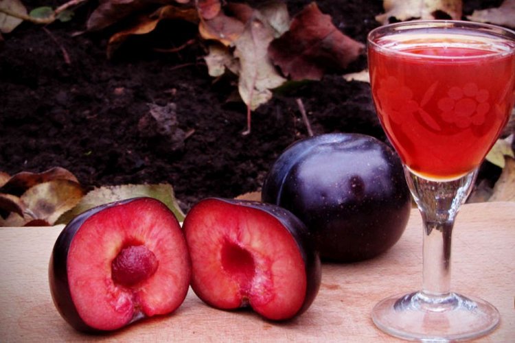 Наливка из сливы со сгущенкой