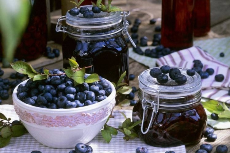 Желе из черники с желфиксом