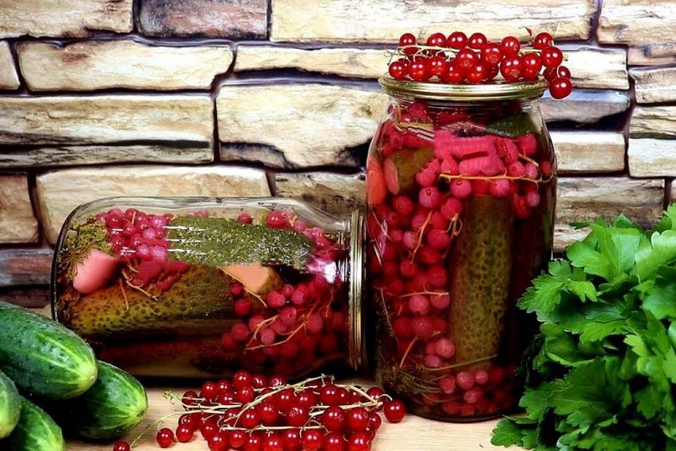 Огурцы с красной смородиной и корнем хрена