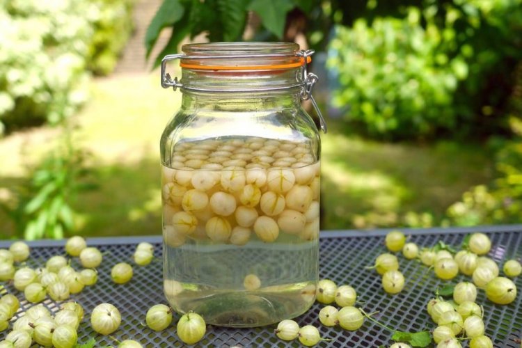 Настойка из крыжовника на спирту