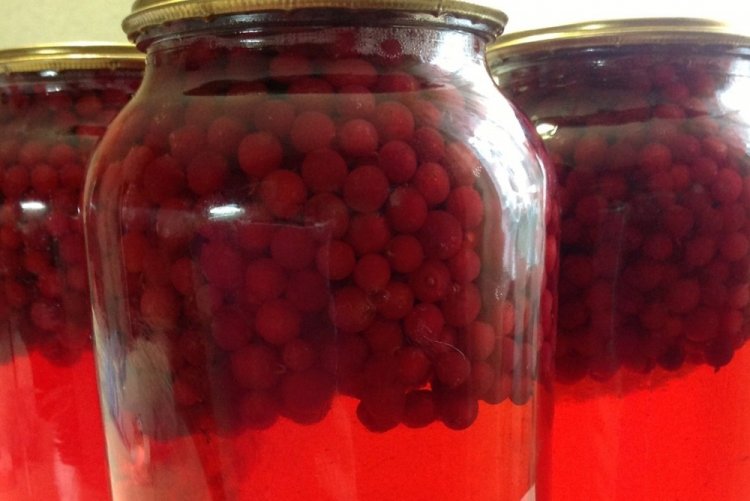 Компот из брусники без стерилизации