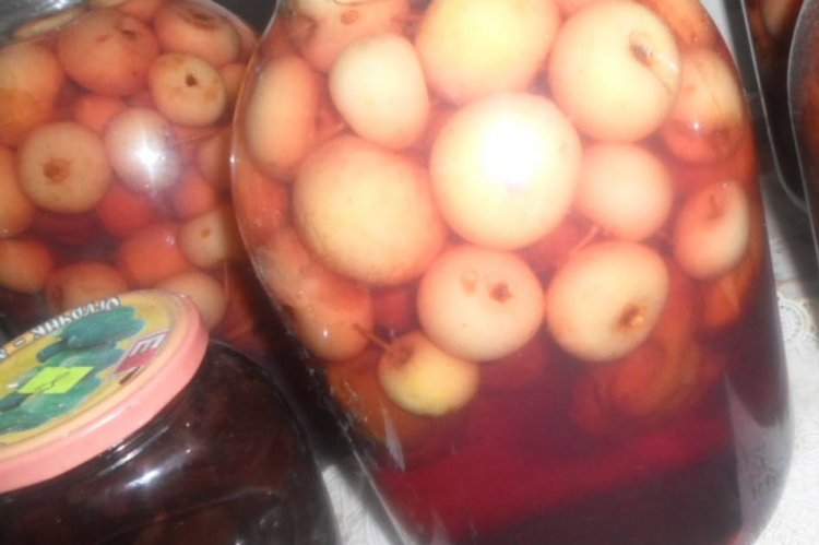 Компот из ранеток и сливы