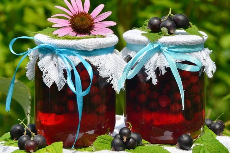 Компот из черники, черной смородины и крыжовника